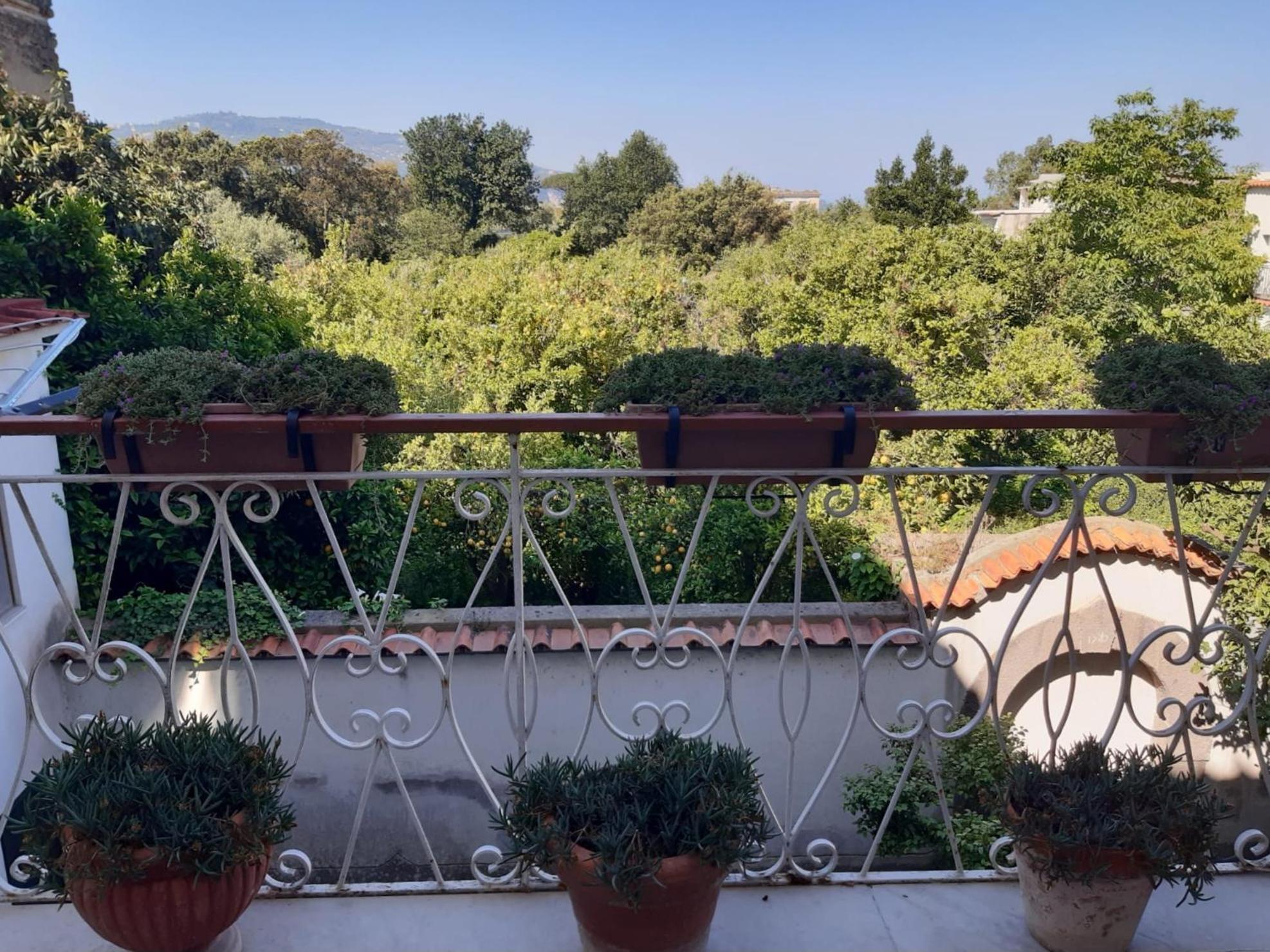 La Casa Di Rosa - Casa Vacanze Meta Extérieur photo